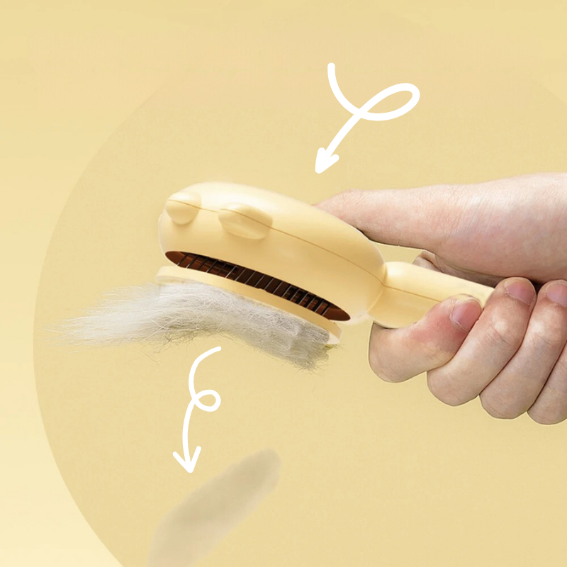 Magic brush for animals