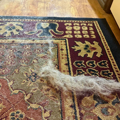 Rimuovi peli di animali