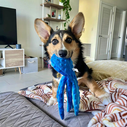 Giocattolo a forma di polpo resistente alla masticazione .