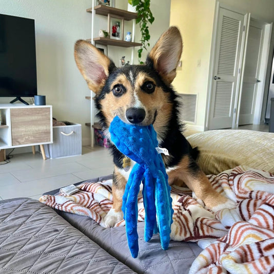 Giocattolo a forma di polpo resistente alla masticazione .