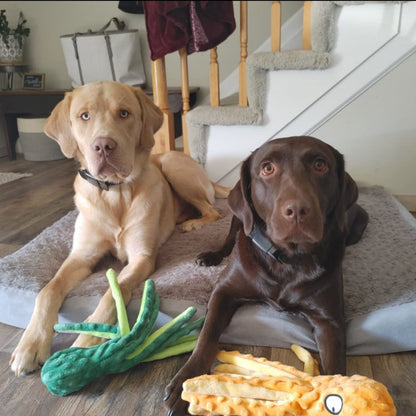 Giocattolo a forma di polpo resistente alla masticazione .