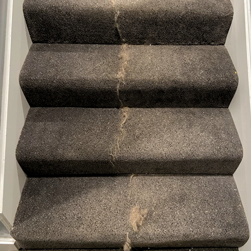 Rimuovi peli di animali